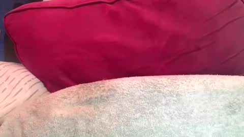 Snapshot of daddyy008 chatting on September 10, 9:48 pm daddyy008 online show from September 10, 9:48 pm