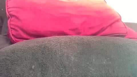 Snapshot of daddyy008 chatting on November 7, 4:29 pm daddyy008 online show from November 7, 4:29 pm