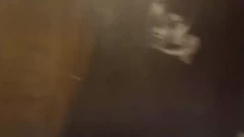 dadpervmind online show from February 22, 10:25 am