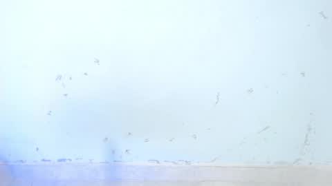 VALENTINA  online show from October 16, 8:48 am