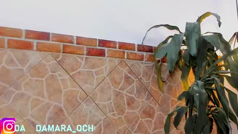         online show from February 22, 7:45 am