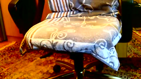 Dammerl online show from January 15, 8:20 am