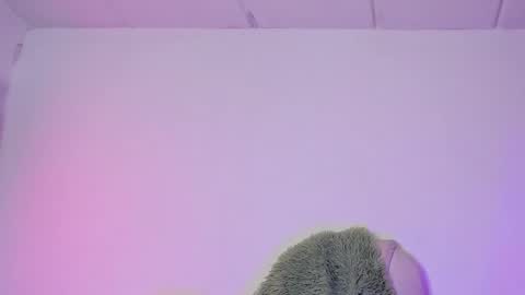 Criss online show from February 6, 4:21 am