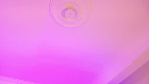 Dana online show from November 28, 8:11 pm