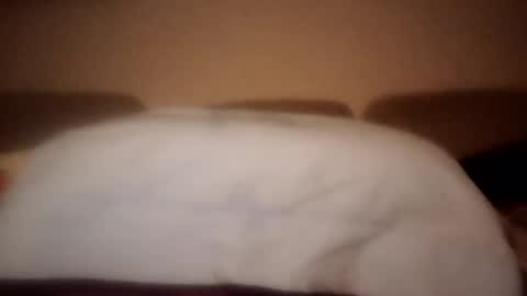 Snapshot of dani225812 chatting on September 18, 8:44 pm Dani225812 online show from September 18, 8:44 pm