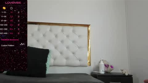 Snapshot of dani_ary chatting on January 18, 2:23 pm DANI online show from January 18, 2:23 pm