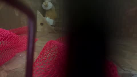 dankcock69420 online show from November 17, 5:24 am