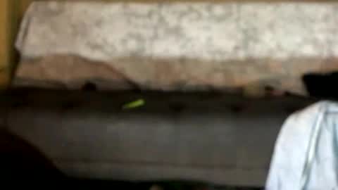 Snapshot of dankshepp chatting on October 12, 1:04 am dandeb online show from October 12, 1:04 am