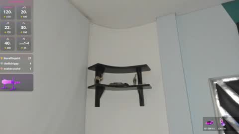 Snapshot of dannadom chatting on December 19, 6:56 am Danna online show from December 19, 6:56 am