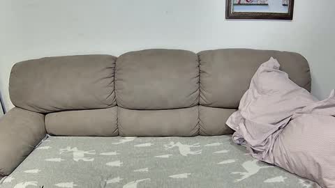 HilmarZ online show from November 17, 2:45 pm