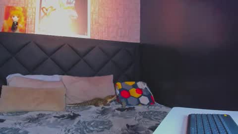 Dany online show from November 11, 5:35 pm