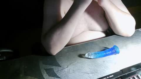 danysanchez1981 online show from December 22, 11:13 pm