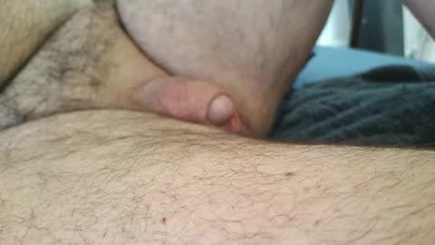 dapppper online show from January 30, 3:19 pm