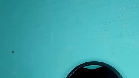 Dafne online show from March 6, 8:48 pm