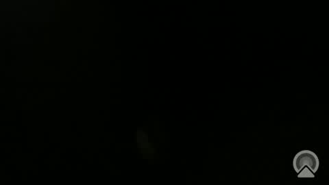 daveeveline online show from November 11, 12:38 pm