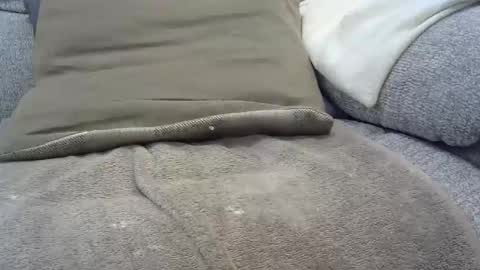 Snapshot of davesmiff1 chatting on January 30, 7:48 pm davesmiff1 online show from January 30, 7:48 pm