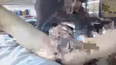 Your daddy online show from September 30, 6:35 pm