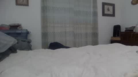 deeeeeek online show from January 18, 4:33 pm