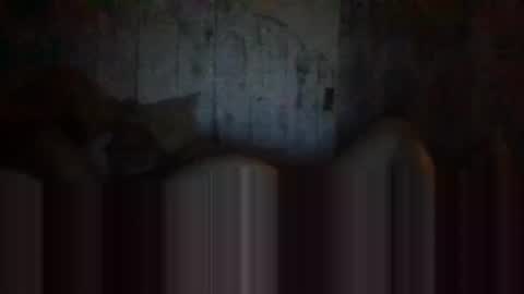 deepdiveme online show from April 15, 4:08 am