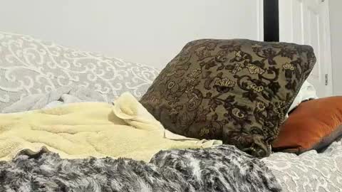 Snapshot of deeznutz343 chatting on February 24, 5:33 am Deez Nutz online show from February 24, 5:33 am