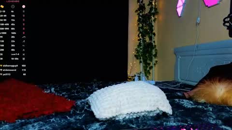 Snapshot of demmi_foxy chatting on February 15, 12:48 am Demmi online show from February 15, 12:48 am