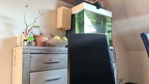 Denise and Brad online show from April 7, 4:40 pm