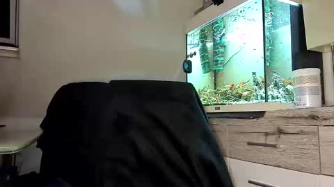 Denise and Brad online show from April 18, 7:58 pm