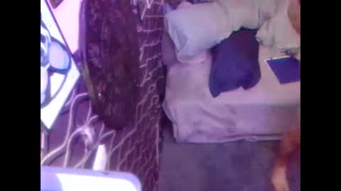 denveversbb online show from October 5, 11:30 am