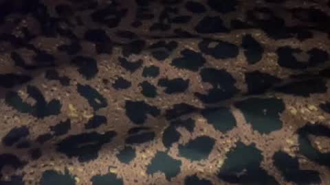 Snapshot of derek829099 chatting on September 11, 6:57 am derek829099 online show from September 11, 6:57 am