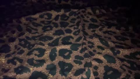 Snapshot of derek829099 chatting on October 9, 7:06 am derek829099 online show from October 9, 7:06 am