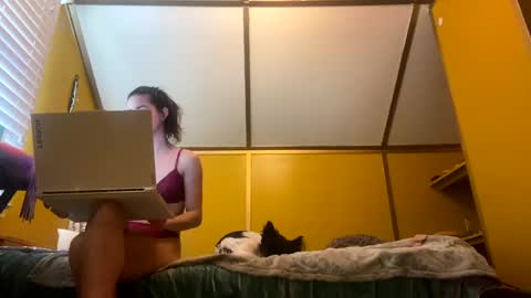 desimonroe online show from January 27, 6:20 pm