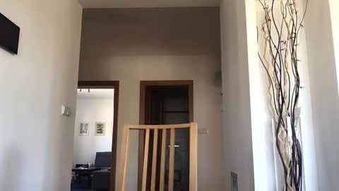 desirtexz online show from April 25, 8:06 am