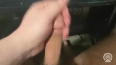 devin255395 online show from December 3, 7:45 pm