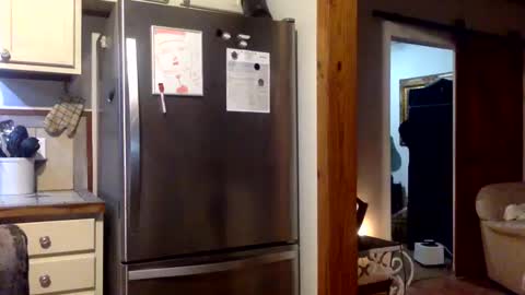 devjsav12 online show from January 19, 3:50 am