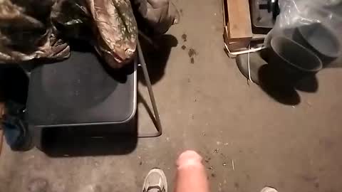 dgjikh online show from March 5, 12:39 am