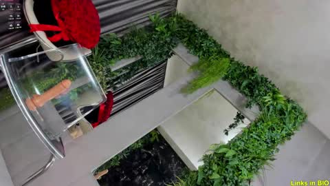 Snapshot of diamond_jo_ chatting on February 8, 3:08 am Jo online show from February 8, 3:08 am