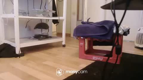 Snapshot of dickerpenis2025 chatting on December 17, 9:59 am Kevin S. online show from December 17, 9:59 am