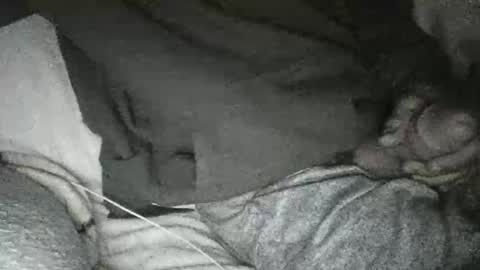 dick online show from January 10, 11:33 am