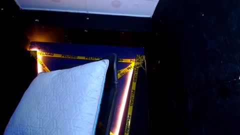 Diego online show from January 16, 3:02 pm