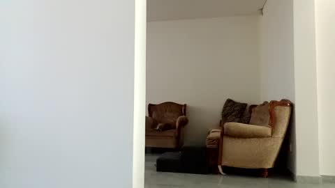 Diego online show from December 15, 6:04 pm