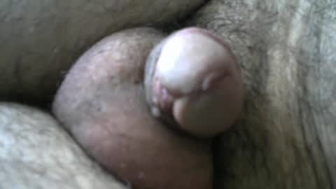 Bob online show from January 11, 8:33 am