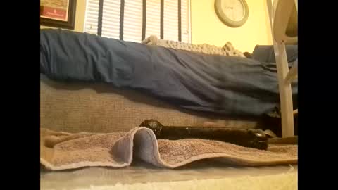 dildosnme22 online show from March 10, 6:45 pm