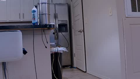 Snapshot of dilldough405 chatting on January 29, 6:07 pm Dilldough405 online show from January 29, 6:07 pm