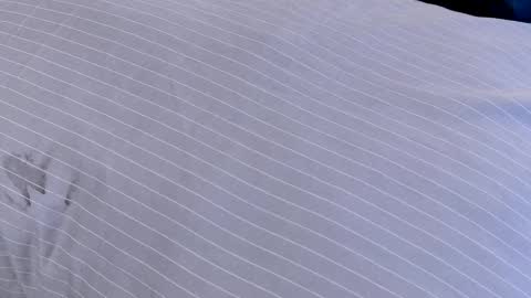 Snapshot of dilldough405 chatting on February 24, 7:55 am Dilldough405 online show from February 24, 7:55 am