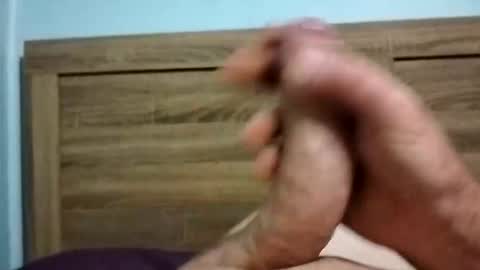 Snapshot of dingo_250 chatting on October 6, 12:35 pm dingo_250 online show from October 6, 12:35 pm