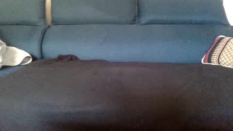 Snapshot of dinnerout1111 chatting on February 17, 8:52 am dinnerout1111 online show from February 17, 8:52 am