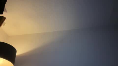 Snapshot of dirtybastard81 chatting on November 25, 1:49 am Jan online show from November 25, 1:49 am