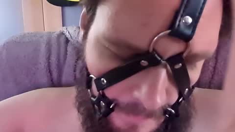 Snapshot of dirtydogsday chatting on October 2, 3:19 pm Dirtydog online show from October 2, 3:19 pm