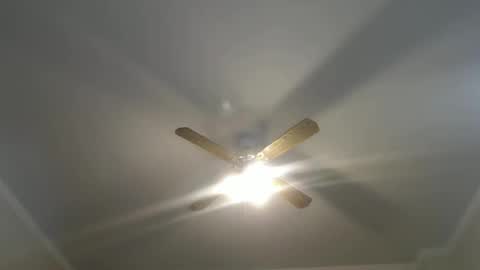 Your Best Worst Nightmare online show from January 12, 4:52 am