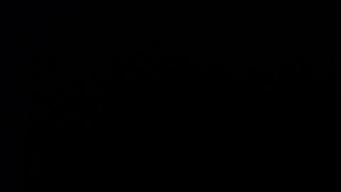 dmyacnt online show from November 16, 5:35 am